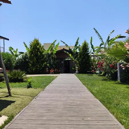 Nostalgia World 3* Kızılot