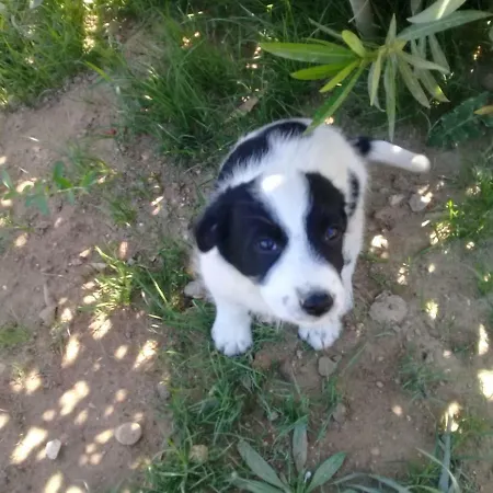 Hotel Nostalgia World