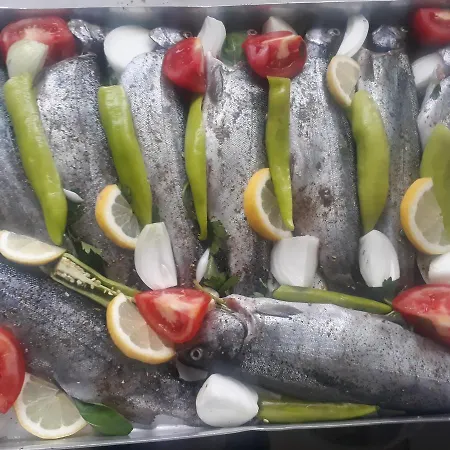 Nostalgia World Hotel