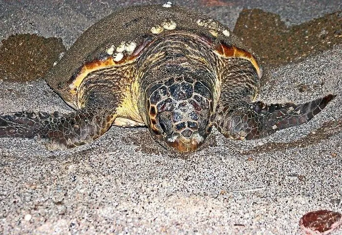 호텔 Nostalgia World