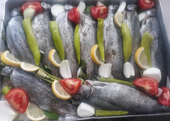 Nostalgia World 호텔