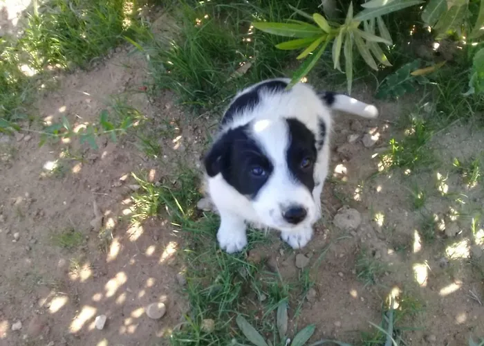 호텔 Nostalgia World