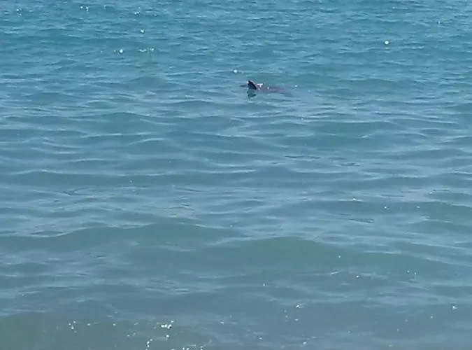 Nostalgia World 호텔 Kızılot