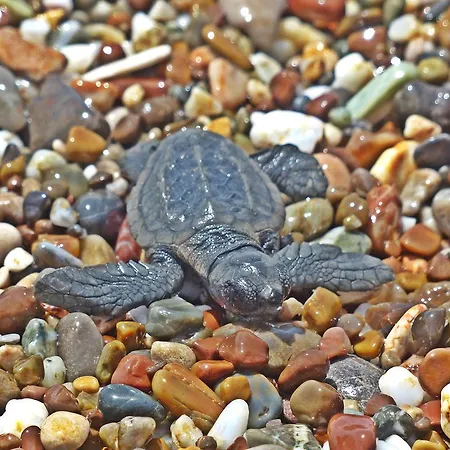 Hotel Nostalgia World 3*