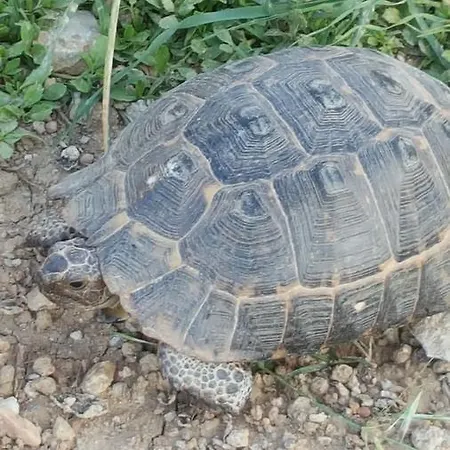 Nostalgia World Hotel