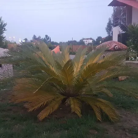 Hotel Nostalgia World