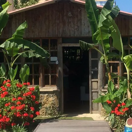 Hotel Nostalgia World