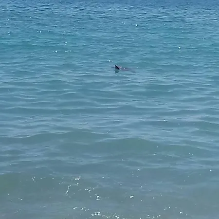 Nostalgia World Hotel Kızılot