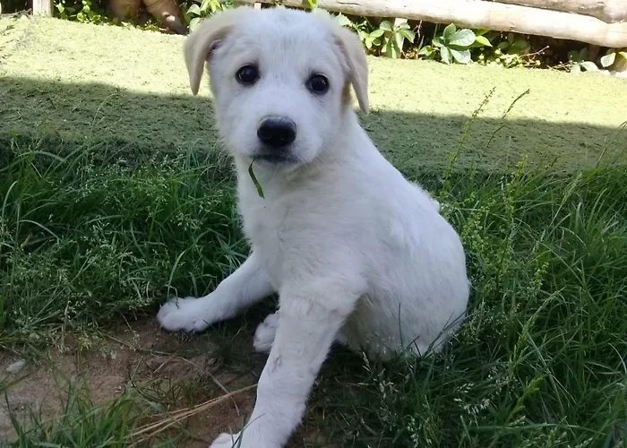 Nostalgia World 酒店 Kızılot